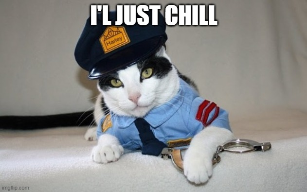 police cat | I'L JUST CHILL | image tagged in police cat | made w/ Imgflip meme maker