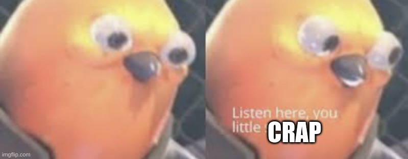 Listen here you little shit bird | CRAP | image tagged in listen here you little shit bird | made w/ Imgflip meme maker