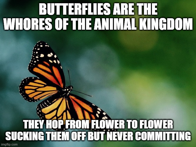 Naughty Bug | BUTTERFLIES ARE THE WHORES OF THE ANIMAL KINGDOM; THEY HOP FROM FLOWER TO FLOWER SUCKING THEM OFF BUT NEVER COMMITTING | image tagged in butterfly | made w/ Imgflip meme maker