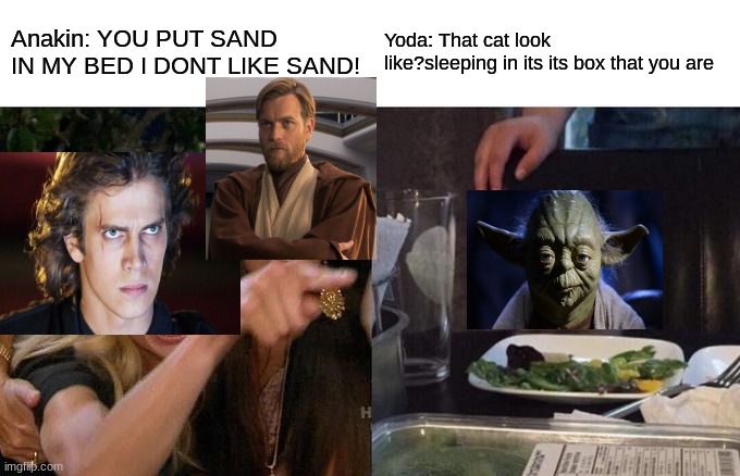 Sand | Anakin: YOU PUT SAND IN MY BED I DONT LIKE SAND! Yoda: That cat look like?sleeping in its its box that you are | image tagged in memes,woman yelling at cat | made w/ Imgflip meme maker