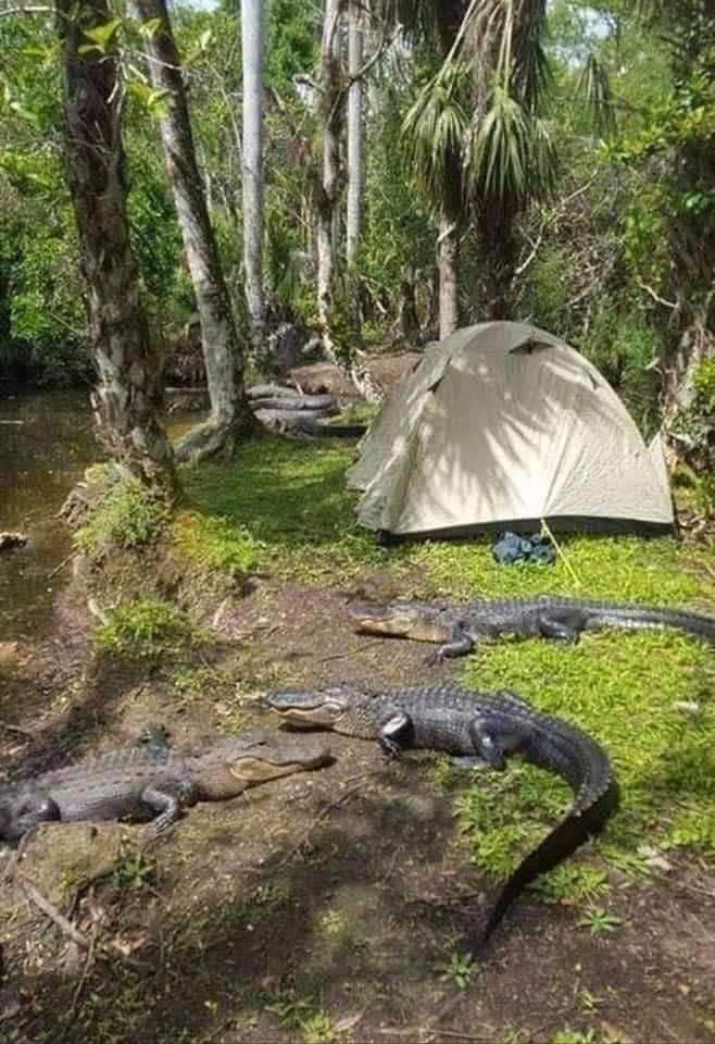 Florida Camping Blank Meme Template