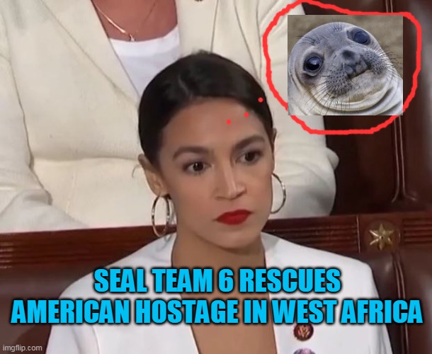 Sad thing is, this is not a meme, but a proven reality in the recent times. | SEAL TEAM 6 RESCUES AMERICAN HOSTAGE IN WEST AFRICA | image tagged in aoc,democrats,navy seal,maga 2020,coyote,liberals | made w/ Imgflip meme maker