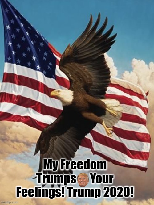 My Freedom Trumps Your Feelings! Trump 2020! | My Freedom Trumps      Your Feelings! Trump 2020! | image tagged in trump,freedom | made w/ Imgflip meme maker