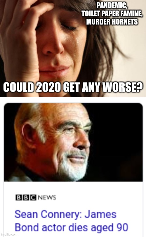 Let's honor the man by naming our favorite Sean Connery role | PANDEMIC, TOILET PAPER FAMINE, MURDER HORNETS; COULD 2020 GET ANY WORSE? | image tagged in memes,first world problems | made w/ Imgflip meme maker
