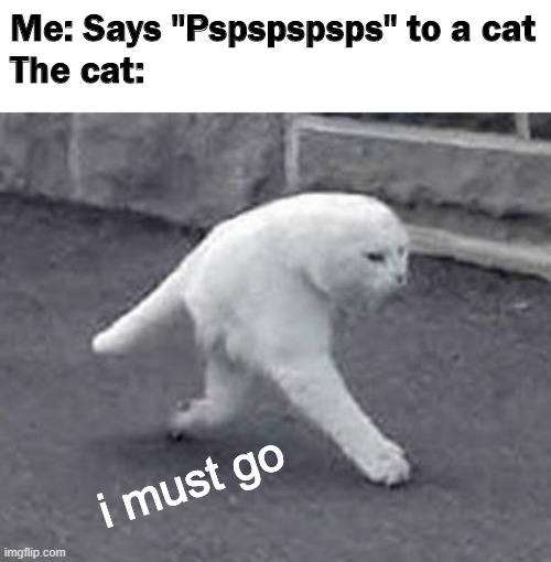 What happens when you say "pspspspspspspspsps" to a cat | Me: Says "Pspspspsps" to a cat
The cat:; i must go | image tagged in walking white cat | made w/ Imgflip meme maker