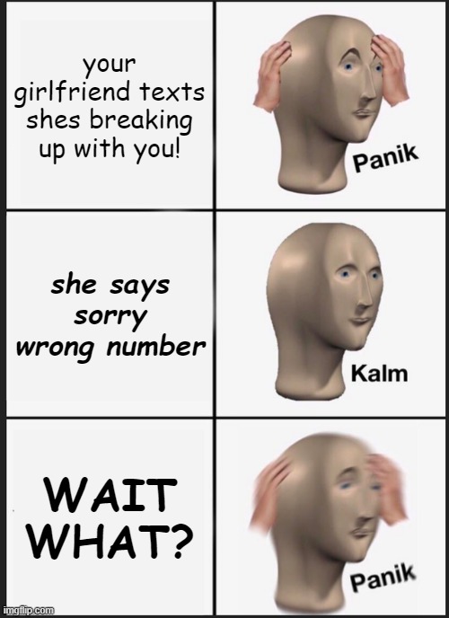 Wait...WHAT? | your girlfriend texts shes breaking up with you! she says sorry wrong number; WAIT WHAT? | image tagged in memes,panik kalm panik,girlfriend,cheater | made w/ Imgflip meme maker