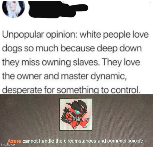 No, you f*cking idiot | image tagged in the imposter saw this and fucking shot himself | made w/ Imgflip meme maker