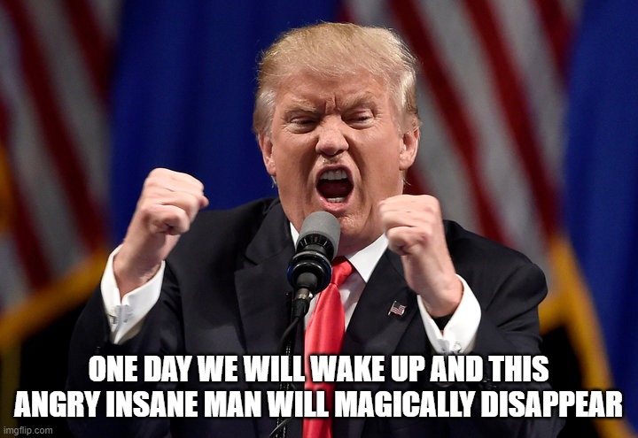 The Day is Coming Soon - January 20, 2021 | ONE DAY WE WILL WAKE UP AND THIS ANGRY INSANE MAN WILL MAGICALLY DISAPPEAR | image tagged in angry trump,inauguration day,free at last,end of trumpism,no tan needed in hell | made w/ Imgflip meme maker