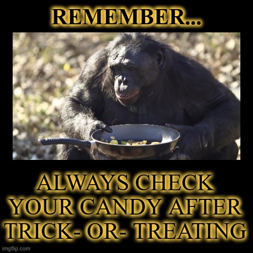 Always check your candy after trick or treating | image tagged in funny,demotivationals,always check your candy after trick or treating | made w/ Imgflip demotivational maker