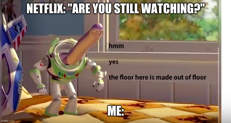 is this not true??? | NETFLIX: "ARE YOU STILL WATCHING?"; ME: | image tagged in the floor here is floor | made w/ Imgflip meme maker