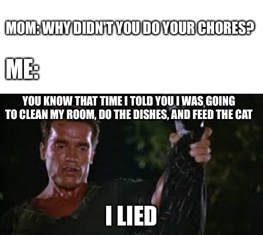 Chores at Home | MOM: WHY DIDN'T YOU DO YOUR CHORES? ME:; YOU KNOW THAT TIME I TOLD YOU I WAS GOING TO CLEAN MY ROOM, DO THE DISHES, AND FEED THE CAT; I LIED | image tagged in blank white template,i lied | made w/ Imgflip meme maker
