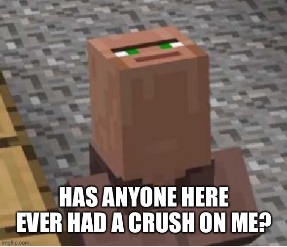 We still together frozetta, just wondering | HAS ANYONE HERE EVER HAD A CRUSH ON ME? | image tagged in minecraft villager looking up | made w/ Imgflip meme maker