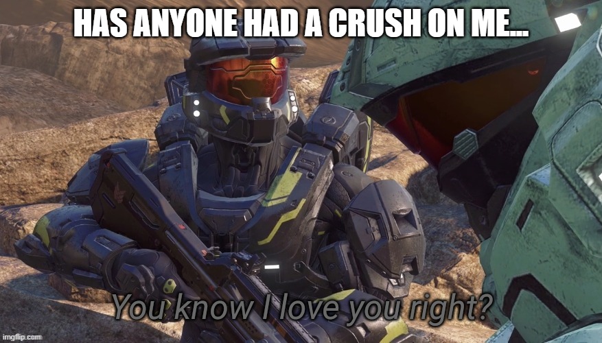I doubt 908% | HAS ANYONE HAD A CRUSH ON ME... | image tagged in you know that i love you right | made w/ Imgflip meme maker