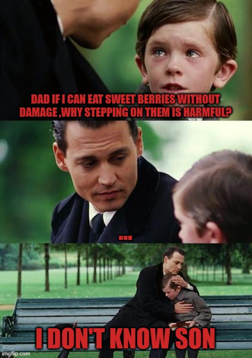 Stupid Minecraft Sweet Berries | DAD IF I CAN EAT SWEET BERRIES WITHOUT DAMAGE ,WHY STEPPING ON THEM IS HARMFUL? ... I DON'T KNOW SON | image tagged in memes,finding neverland | made w/ Imgflip meme maker