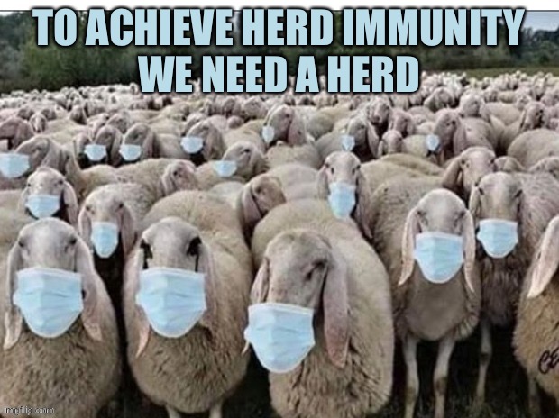 Sign of the Sheeple | TO ACHIEVE HERD IMMUNITY
WE NEED A HERD | image tagged in sign of the sheeple | made w/ Imgflip meme maker