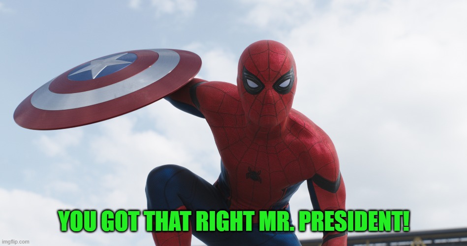 Spider-Man MCU | YOU GOT THAT RIGHT MR. PRESIDENT! | image tagged in spider-man mcu | made w/ Imgflip meme maker