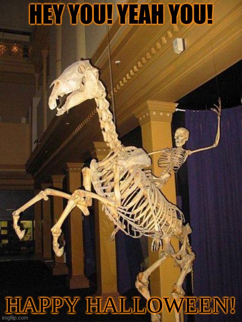 [10-31-20] | HEY YOU! YEAH YOU! HAPPY HALLOWEEN! | image tagged in spooky horse and rider skeleton,halloween,happy halloween | made w/ Imgflip meme maker