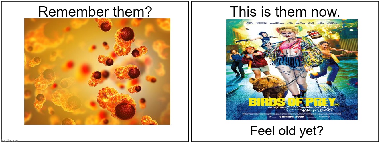 This is them now | image tagged in this is them now | made w/ Imgflip meme maker