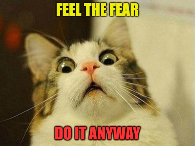 Scared Cat | FEEL THE FEAR; DO IT ANYWAY | image tagged in memes,scared cat | made w/ Imgflip meme maker