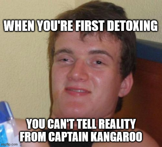 10 Guy Meme | WHEN YOU'RE FIRST DETOXING; YOU CAN'T TELL REALITY FROM CAPTAIN KANGAROO | image tagged in memes,10 guy | made w/ Imgflip meme maker