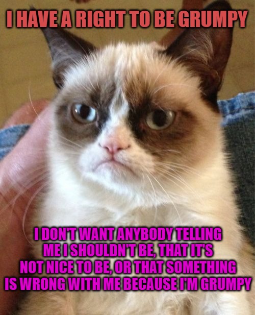Grumpy Cat Meme | I HAVE A RIGHT TO BE GRUMPY; I DON'T WANT ANYBODY TELLING ME I SHOULDN'T BE, THAT IT'S NOT NICE TO BE, OR THAT SOMETHING IS WRONG WITH ME BECAUSE I'M GRUMPY | image tagged in memes,grumpy cat | made w/ Imgflip meme maker