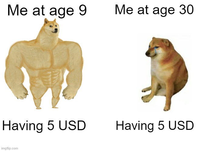 The 5 USD story | Me at age 9; Me at age 30; Having 5 USD; Having 5 USD | image tagged in memes,buff doge vs cheems | made w/ Imgflip meme maker