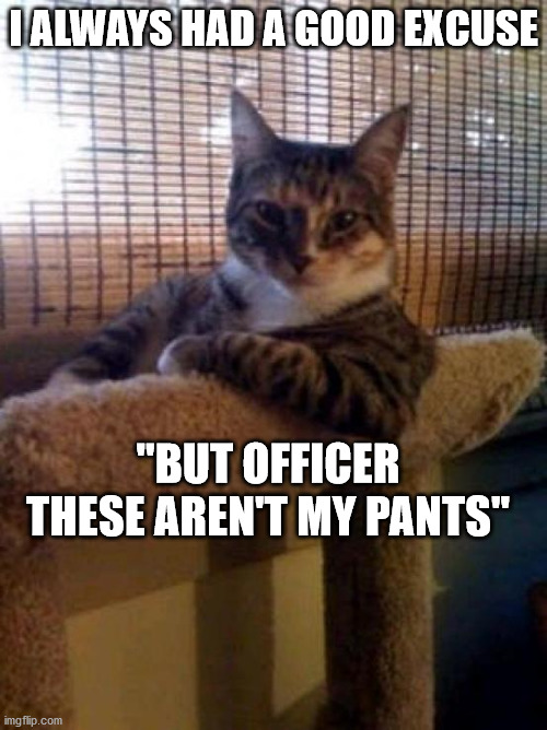 The Most Interesting Cat In The World | I ALWAYS HAD A GOOD EXCUSE; "BUT OFFICER THESE AREN'T MY PANTS" | image tagged in memes,the most interesting cat in the world | made w/ Imgflip meme maker