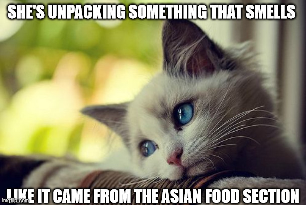 First World Problems Cat Meme | SHE'S UNPACKING SOMETHING THAT SMELLS; LIKE IT CAME FROM THE ASIAN FOOD SECTION | image tagged in memes,first world problems cat | made w/ Imgflip meme maker