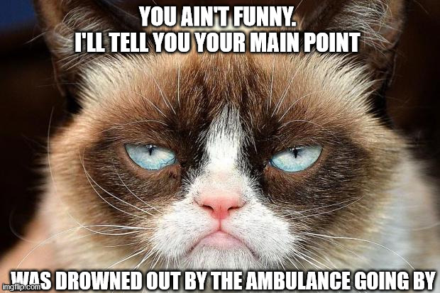 Grumpy Cat Not Amused Meme | YOU AIN'T FUNNY. 
I'LL TELL YOU YOUR MAIN POINT; WAS DROWNED OUT BY THE AMBULANCE GOING BY | image tagged in memes,grumpy cat not amused,grumpy cat | made w/ Imgflip meme maker