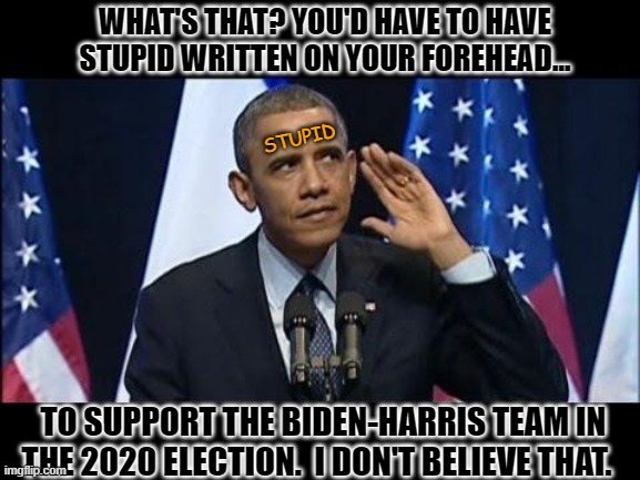 Obama continues to supports the Biden-Harris team proving what's said about their supporters... Believe it or not! | WHAT'S THAT? YOU'D HAVE TO HAVE STUPID WRITTEN ON YOUR FOREHEAD... STUPID; TO SUPPORT THE BIDEN-HARRIS TEAM IN THE 2020 ELECTION.  I DON'T BELIEVE THAT. | image tagged in obama no listen,liberals vs conservatives,election 2020,donald trump approves,biden,special kind of stupid | made w/ Imgflip meme maker