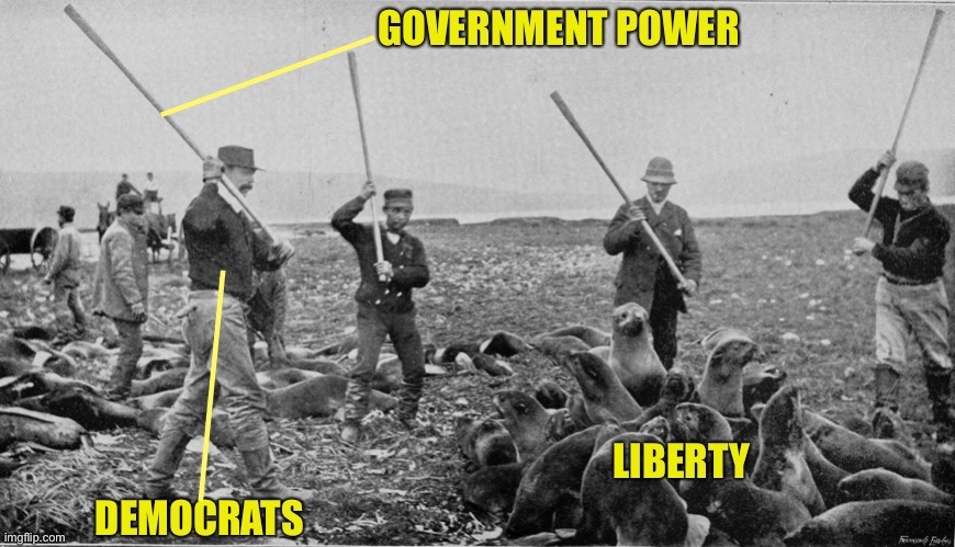 Wielding Power In A Pure Democracy | image tagged in democracy,democrats,power,government,liberty,rights | made w/ Imgflip meme maker