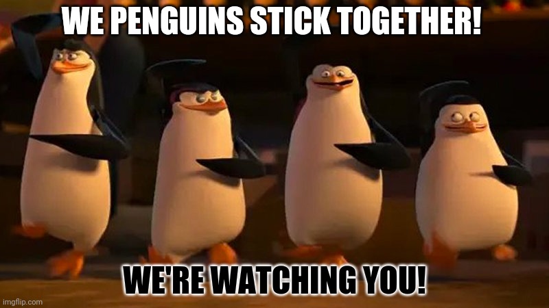 penguins of madagascar | WE PENGUINS STICK TOGETHER! WE'RE WATCHING YOU! | image tagged in penguins of madagascar | made w/ Imgflip meme maker