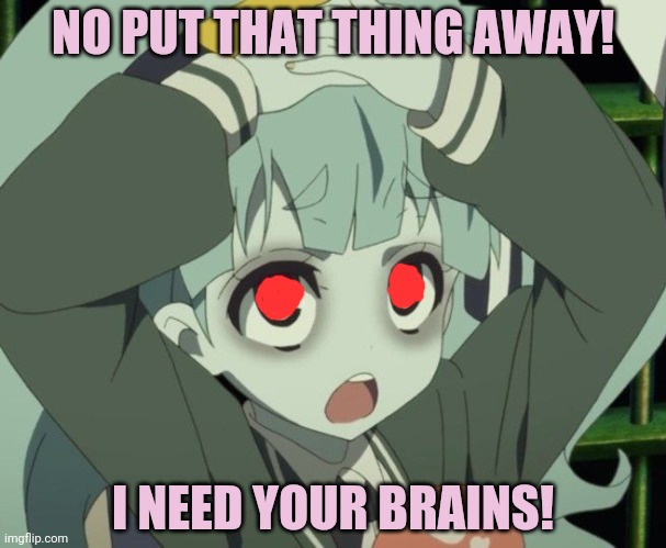 NO PUT THAT THING AWAY! I NEED YOUR BRAINS! | made w/ Imgflip meme maker