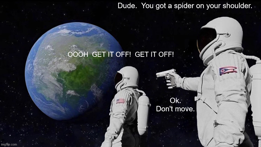 Space Spiders are the Worst | Dude.  You got a spider on your shoulder. OOOH  GET IT OFF!  GET IT OFF! Ok.
Don't move. | image tagged in memes,always has been,spider | made w/ Imgflip meme maker