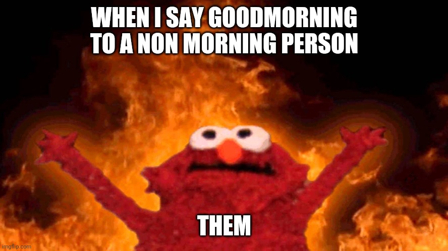 elmo fire |  WHEN I SAY GOODMORNING TO A NON MORNING PERSON; THEM | image tagged in elmo fire | made w/ Imgflip meme maker
