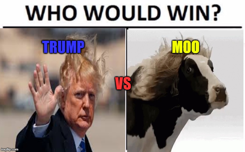 Who will win? | TRUMP; MOO; VS | made w/ Imgflip meme maker