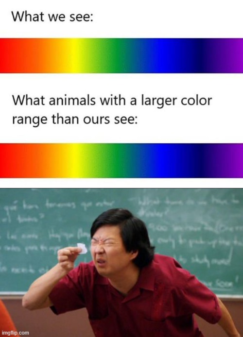 ............yeah it checks out | image tagged in post for ants asian | made w/ Imgflip meme maker