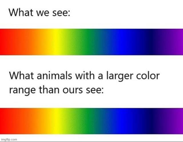 [had to think about this awhile. yup, it checks out] | image tagged in repost,science,colors,color,rainbow,you know i'm something of a scientist myself | made w/ Imgflip meme maker