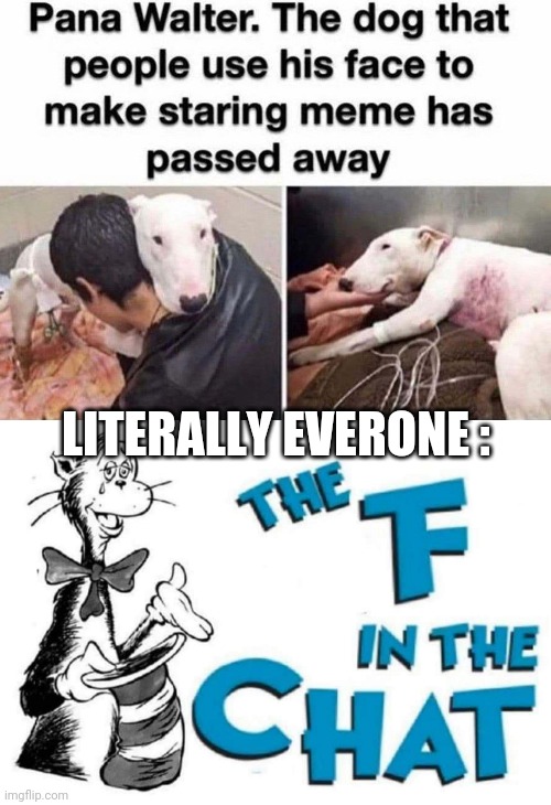 The F in the Chat | LITERALLY EVERONE : | image tagged in the f in the chat | made w/ Imgflip meme maker