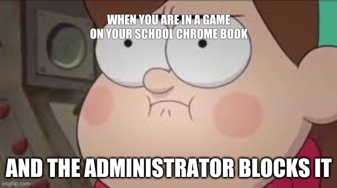 browser problems | WHEN YOU ARE IN A GAME ON YOUR SCHOOL CHROME BOOK; AND THE ADMINISTRATOR BLOCKS IT | image tagged in funny | made w/ Imgflip meme maker