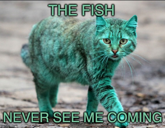 green cat has a plan | THE FISH; NEVER SEE ME COMING | image tagged in cat,green,stealth | made w/ Imgflip meme maker