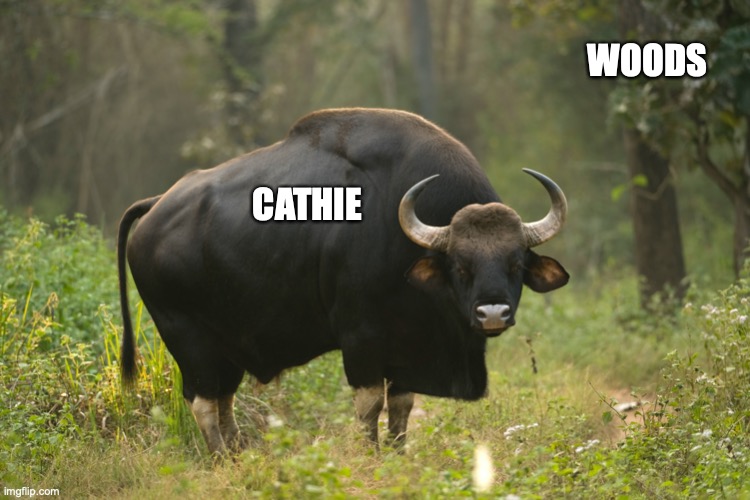 WOODS; CATHIE | made w/ Imgflip meme maker