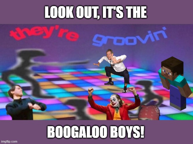 We can dance if we want to | LOOK OUT, IT'S THE; BOOGALOO BOYS! | image tagged in dance party | made w/ Imgflip meme maker