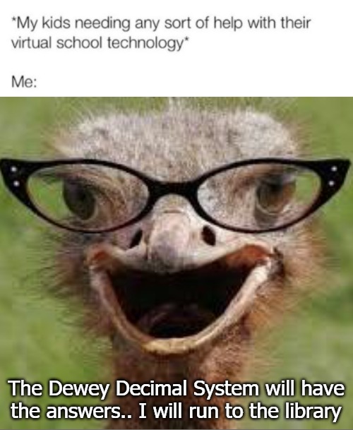 The Dewey Decimal System will have the answers.. I will run to the library | image tagged in politics | made w/ Imgflip meme maker