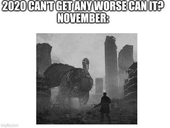 November of 2020 | 2020 CAN'T GET ANY WORSE CAN IT?
NOVEMBER: | image tagged in 2020 sucks | made w/ Imgflip meme maker