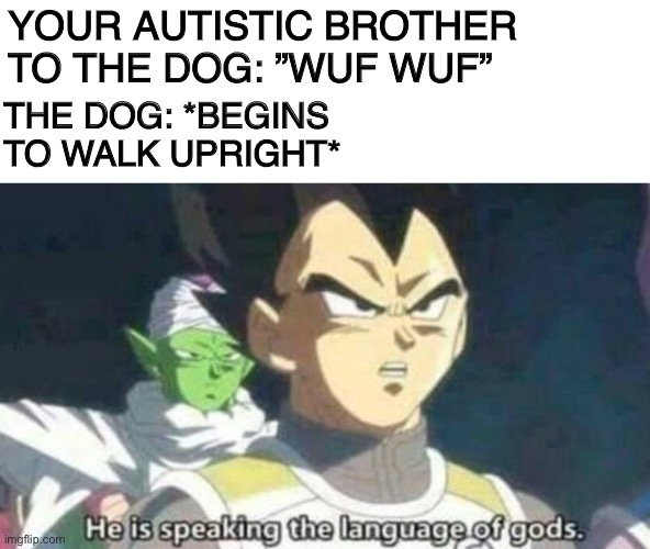 My super bro | YOUR AUTISTIC BROTHER TO THE DOG: ”WUF WUF”; THE DOG: *BEGINS TO WALK UPRIGHT* | image tagged in memes,funny,funny memes,vegeta,dog,brother | made w/ Imgflip meme maker