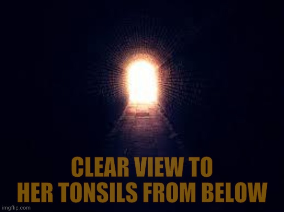 Light at the end of tunnel | CLEAR VIEW TO HER TONSILS FROM BELOW | image tagged in light at the end of tunnel | made w/ Imgflip meme maker