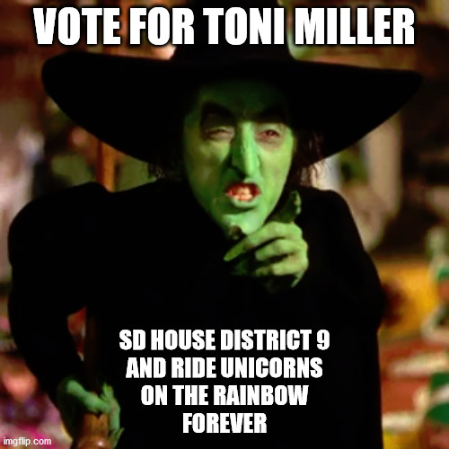 VOTE FOR TONI MILLER; SD HOUSE DISTRICT 9
AND RIDE UNICORNS
ON THE RAINBOW
FOREVER | image tagged in toni | made w/ Imgflip meme maker