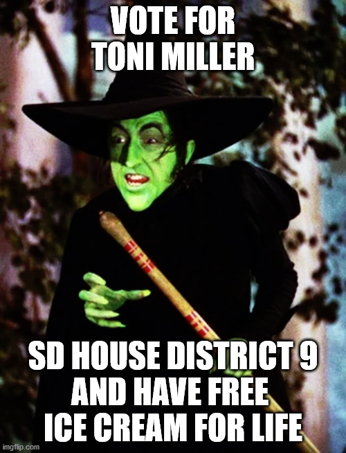 VOTE FOR TONI MILLER; SD HOUSE DISTRICT 9
AND HAVE FREE 
ICE CREAM FOR LIFE | image tagged in toni | made w/ Imgflip meme maker