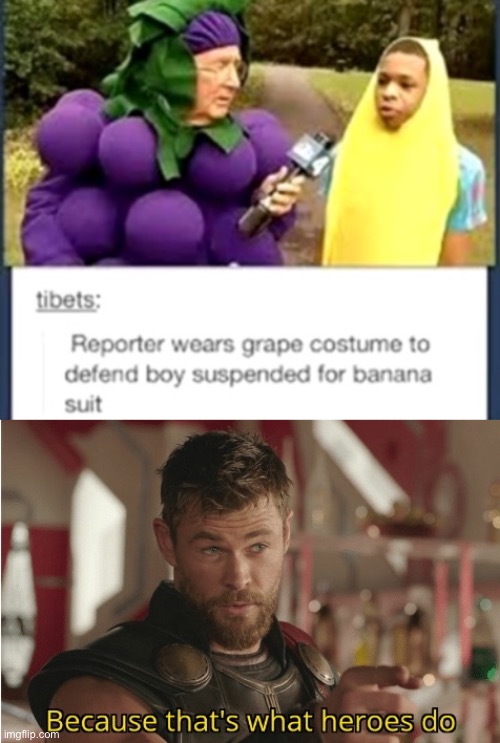 This is a good reporter | image tagged in that s what heroes do,memes,reporter,banana,grape,news | made w/ Imgflip meme maker